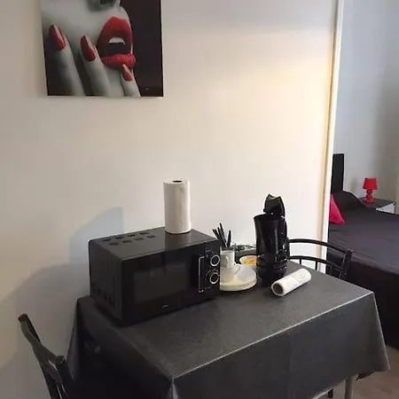 Votre Pelerinage En Grande Chambre A Apartment Lourdes